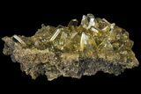 Selenite Crystal Cluster (Fluorescent) - Peru #94632-1